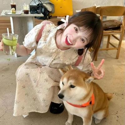 龙宫派对